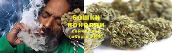 хмурый Новозыбков