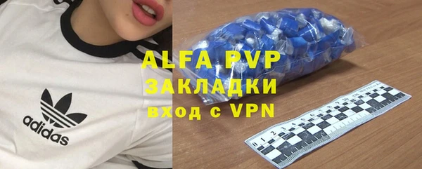 хмурый Новозыбков