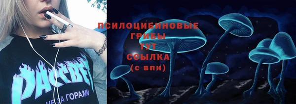 прущая мука Вязьма