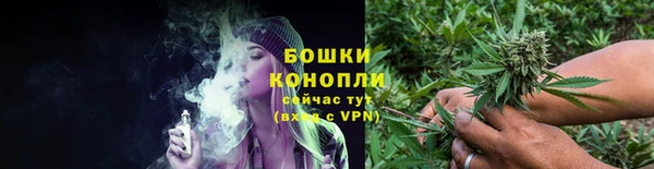 хмурый Новозыбков