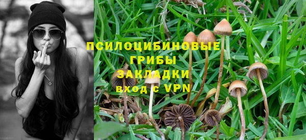 хмурый Новозыбков