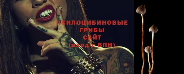 хмурый Новозыбков
