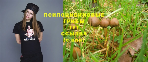хмурый Новозыбков