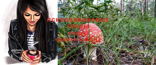бошки Новокубанск